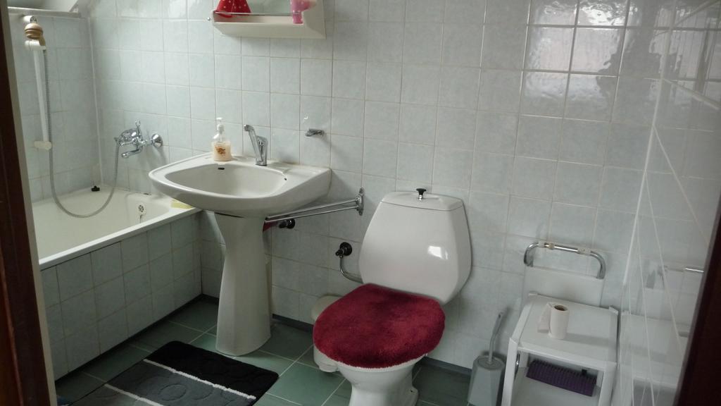 Apartman U Hanicky Bela pod Pradedem Buitenkant foto
